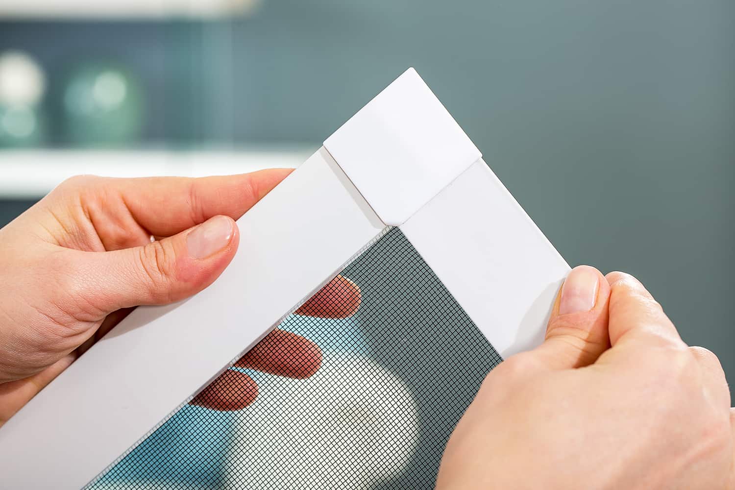 Fliegengitter Fenster "FLEX", flächenversetzte Fenster - Alurahmen - Zuschnitt