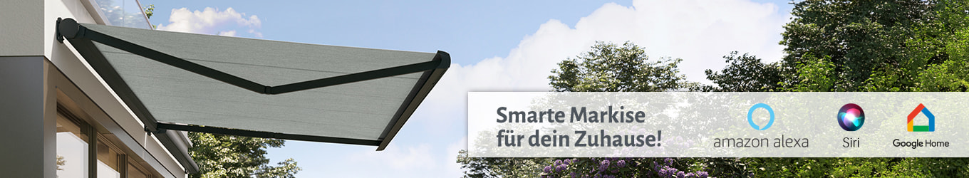 Banner WiFi Motor