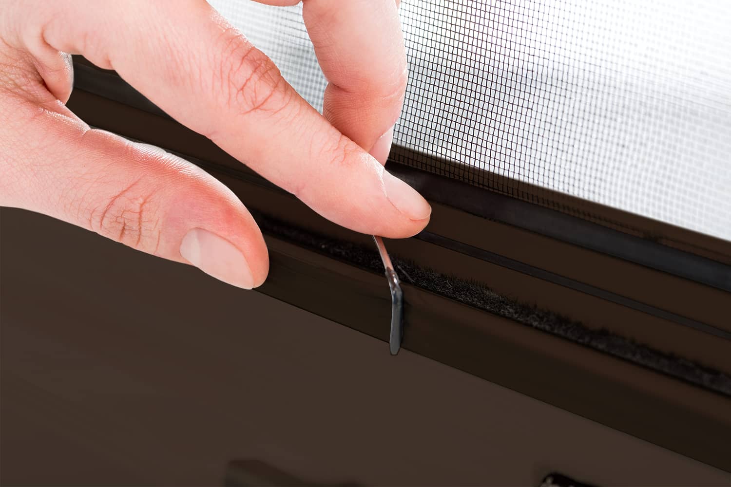 braun, Filatec