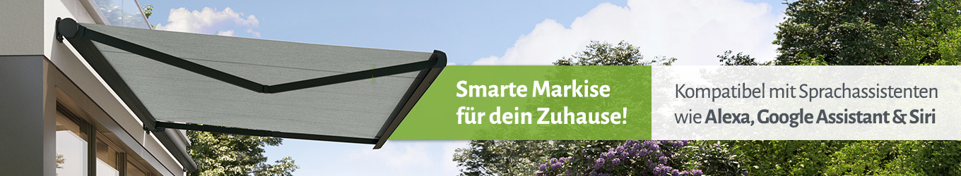 Banner WiFi Motor