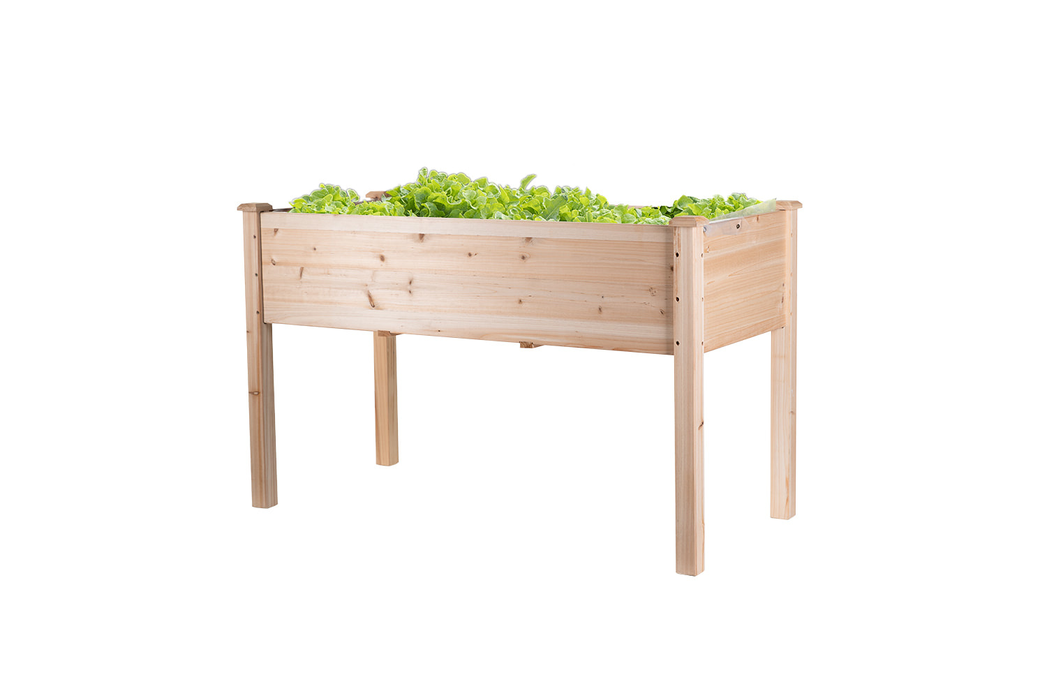 Hochbeet "RAISE 1" XL, 125 x 59 x 76 cm - Naturholz