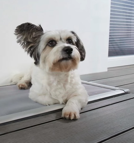 Zu den Lichtschachtabdeckungen